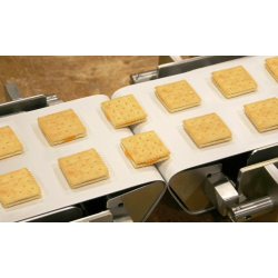  Лента транспортерная пищевая ПТК200